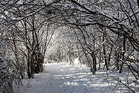 Vinter i Sätra äng